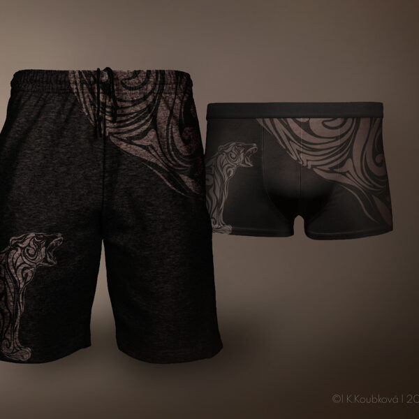 DESIGN PÁNSKÉHO OBLEČENÍ