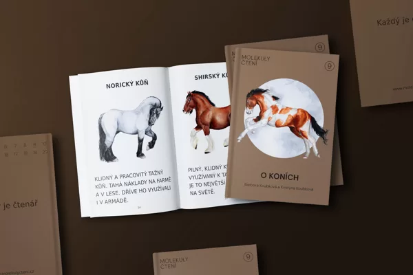 GRAFIKA